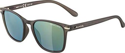 ALPINA YEFE CMGO Gafas de Sol, Unisex-Adultos, Grey Transparent Matt, One Size