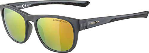 ALPINA Unisex - Adultos, LINO II Gafas de sol, grey transparent matt, One Size