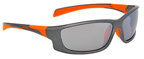 ALPINA Fenno Gafas Deportivas, Hombre, Gris-Gris, One Size