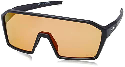 ALPINA, RAM HVLMR+ Gafas Deportivas, Black Matt, One Size