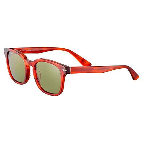 Serengeti Ethan Gafas, Shiny Classic Havana, M Unisex Adulto