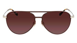 Lacoste L243SE Gafas, Brown, Taille Unique para Hombre