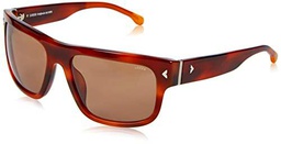 Lozza Sl4262 Gafas, Shiny Average Havana, 58 para Hombre