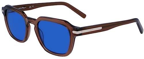 FERRAGAMO Suns Gafas de Sol, Transparent Smoke Brown