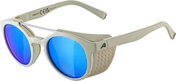 Alpina Unisex - Adultos, GLACE gafas de sol, cool-grey matt/iceblue, One Size