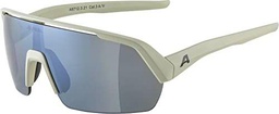 ALPINA Unisex - Adultos, TURBO HR gafas deportivas