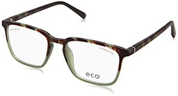 MODO &amp; ECO Clark Gafas, Green TORT Gradient, 53 para Hombre