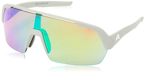 ALPINA Turbo HR Gafas de, Gris Ahumado Mate, Talla única Unisex Adulto