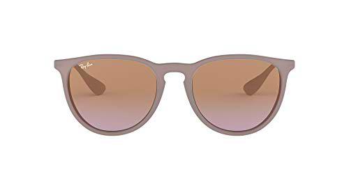 Ray-Ban Erika Gafas de sol, Marrón/Plata (Brown; Silver) (600068)