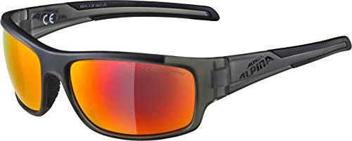 Alpina Gafas Testido Montura Antr/Negra Cristal Ro