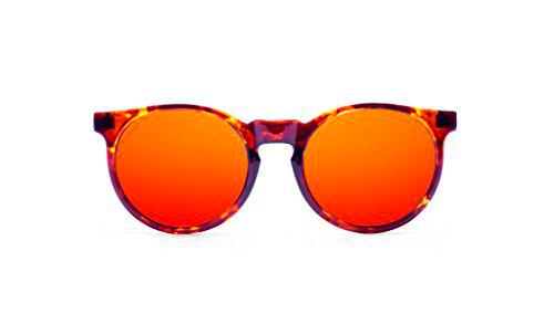 Miss Hamptons Marlon Gafas De Sol, MONTURA Burdeos y carey LENTE Ruby Chrome