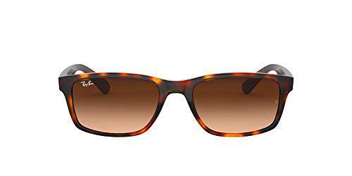 Ray-Ban Rb4234 Gafas de Sol, Havana, 58 para Hombre