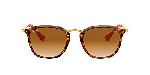 Ray-Ban 0RB2448NM Gafas de sol, Havana, 50 para Hombre