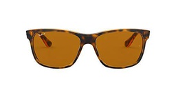 Ray-Ban - Gafas de sol Wayfarer Rb4181, Brown (710/83 710/83)