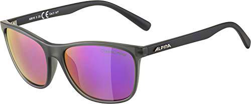 Alpina JAIDA grey transparent matt CMPU