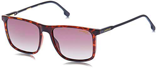 Carrera 231/S Gafas de Sol, Dkhavana, 55 Unisex Adulto