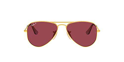 Ray-Ban 0RJ9506S Gafas, Arista, 50 Unisex