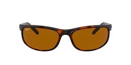 Ray-Ban 0RB2027 Gafas, Dark Havana, 62 Unisex