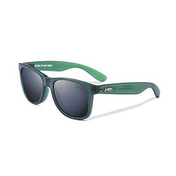 THE INDIAN FACE Gafas de Sol - Arrecife Green/Black