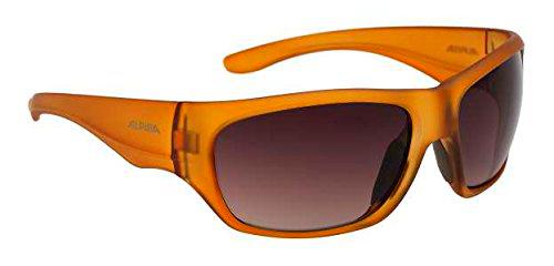 ALPINA Gafas de Sol a 71, Brown Mate, a8551491